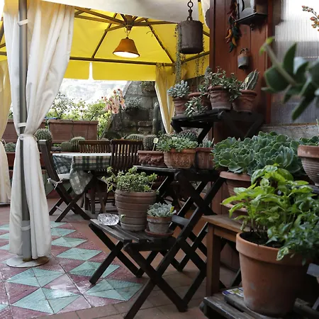 Bed & Breakfast Orchid Corner Meta