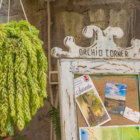 Orchid Corner Bed & Breakfast 3*