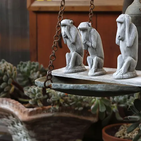 ベッド・アンド・ブレックファスト Orchid Corner メタ