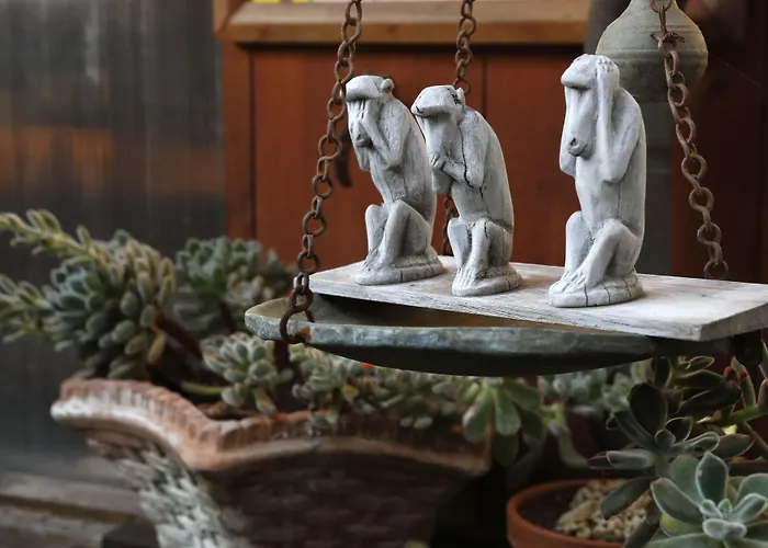 Bed & Breakfast Orchid Corner Meta