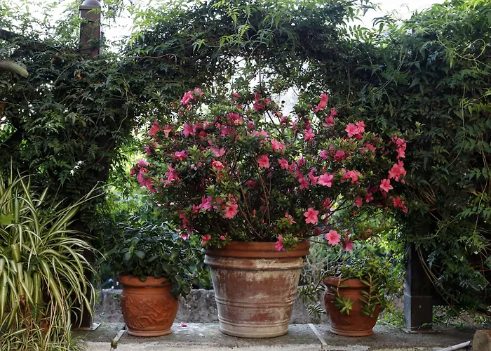 Orchid Corner Bed & Breakfast 4*