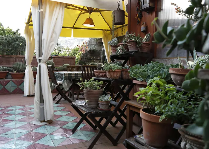 Bed & Breakfast Orchid Corner Meta