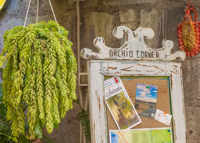 Orchid Corner Bed & Breakfast 4*