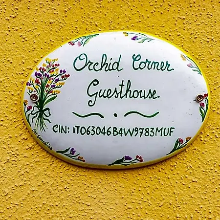 Orchid Corner 4* Meta